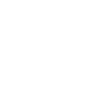 Wereldwijde verzending icoon